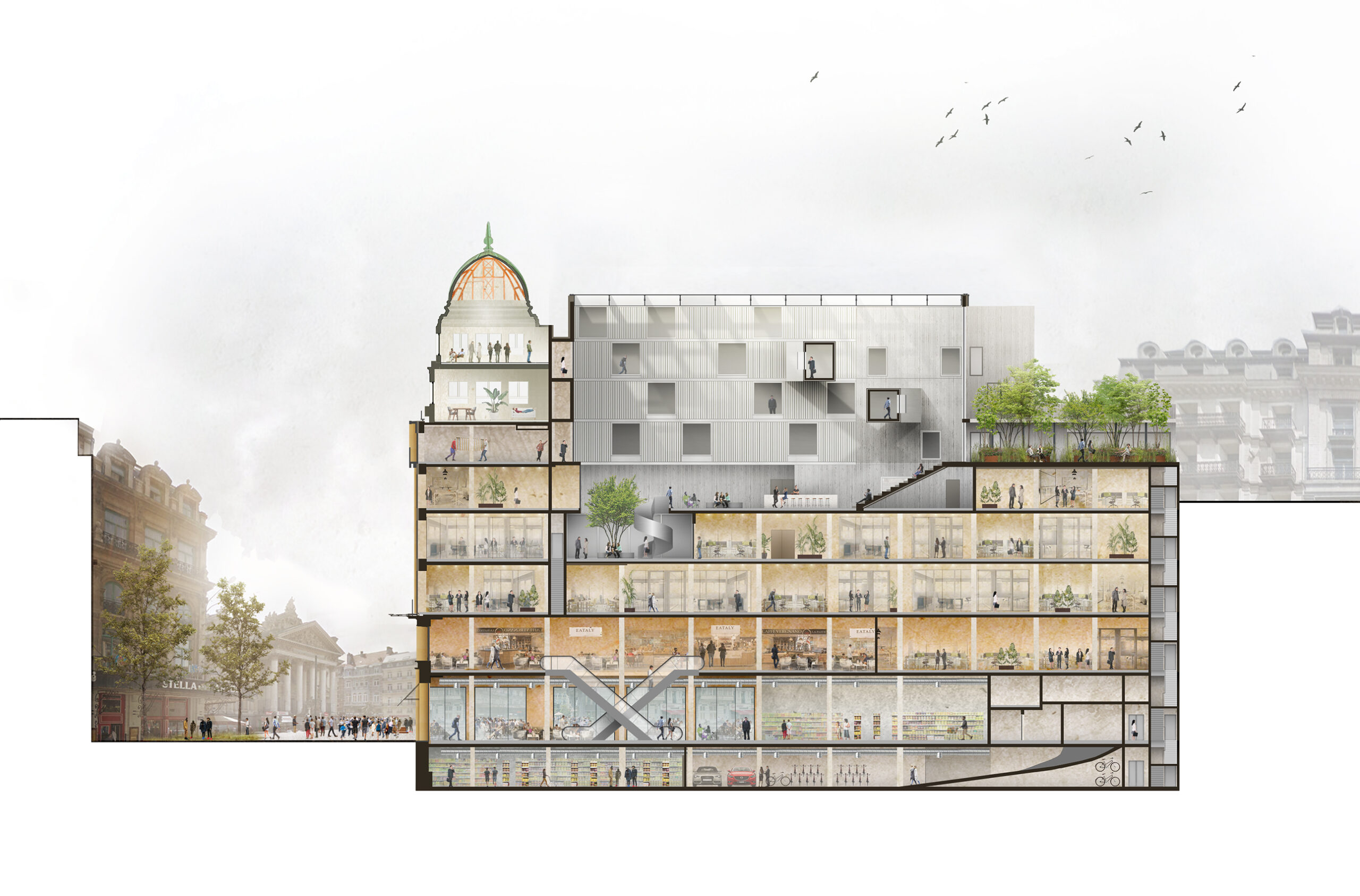 Langse Snede CC – herwerking 2025_0